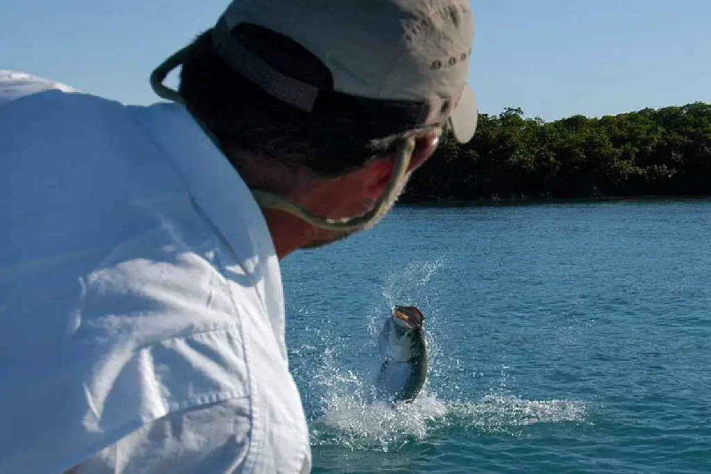 Gardens of the King Cuba Fishing